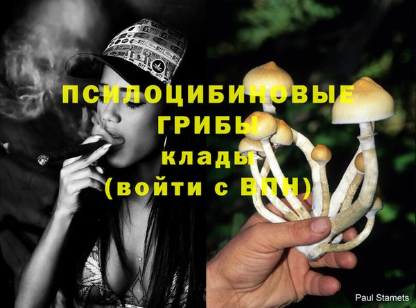 МДПВ Алексеевка
